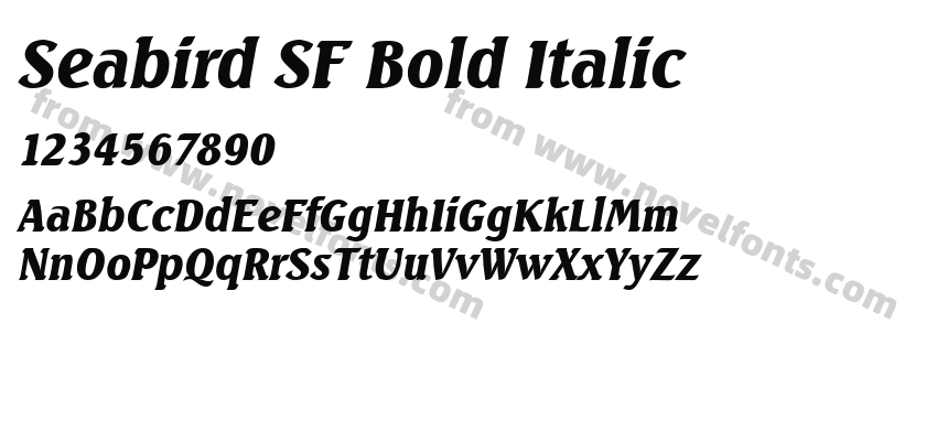 Seabird SF Bold ItalicPreview