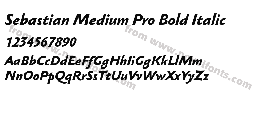 Sebastian Medium Pro Bold ItalicPreview