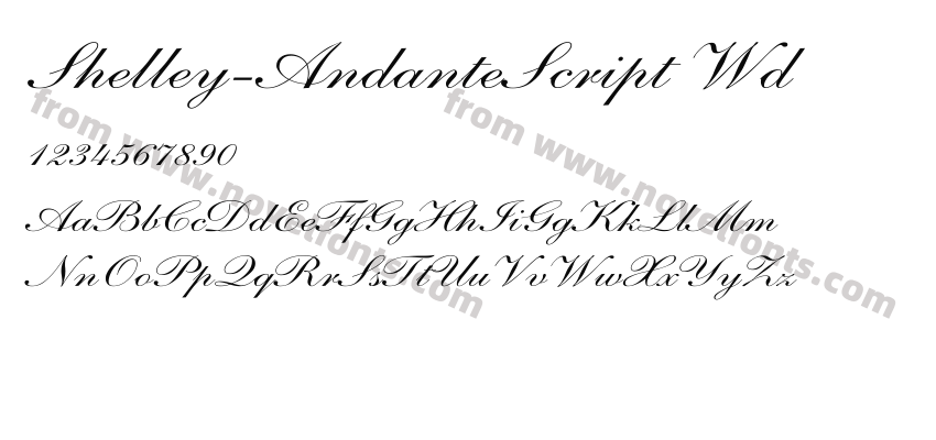 Shelley-AndanteScript WdPreview