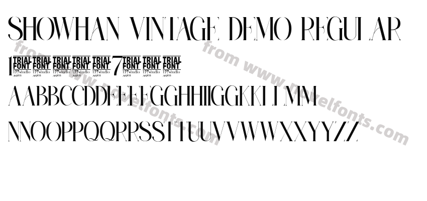 Showhan Vintage Demo RegularPreview