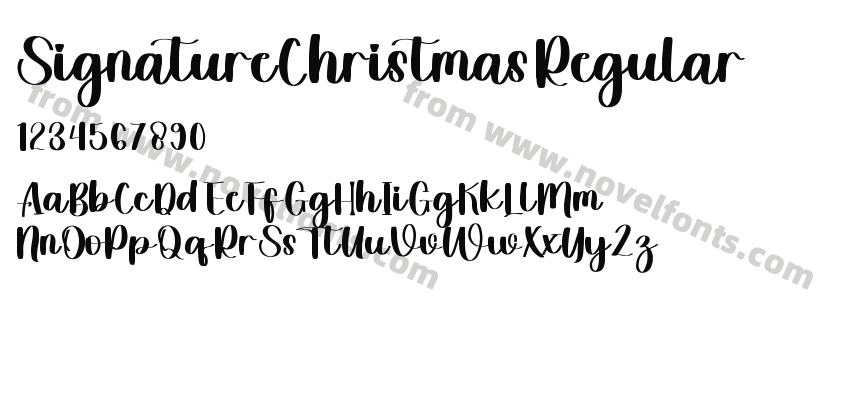 SignatureChristmasRegularPreview