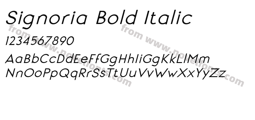 Signoria Bold ItalicPreview