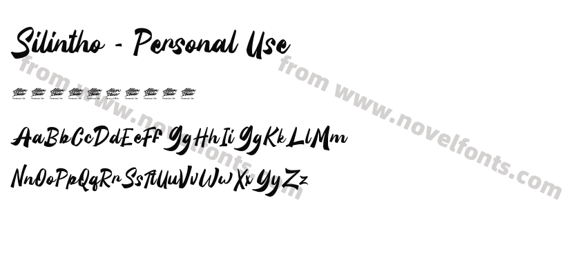 Silintho - Personal UsePreview