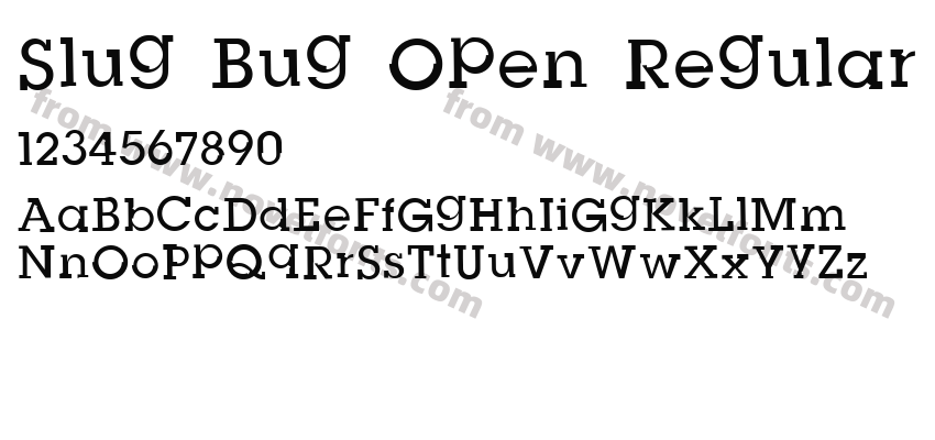 Slug Bug Open RegularPreview