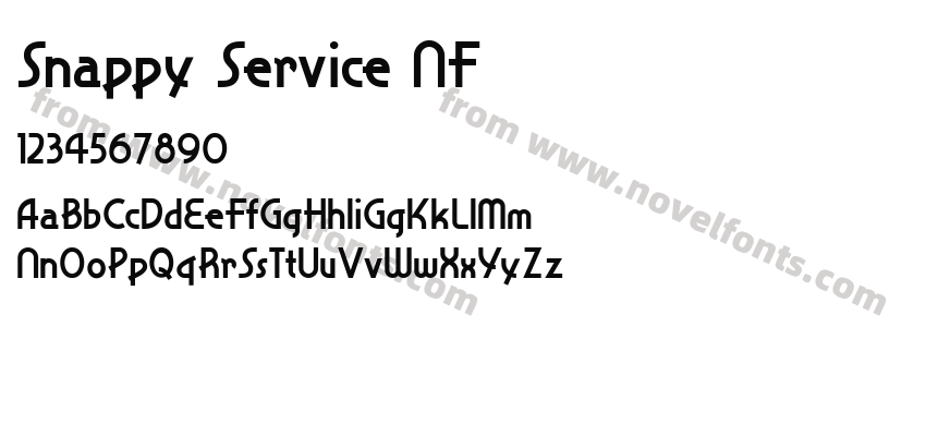 Snappy Service NFPreview