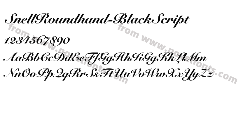 Snell Roundhand Black ScriptPreview