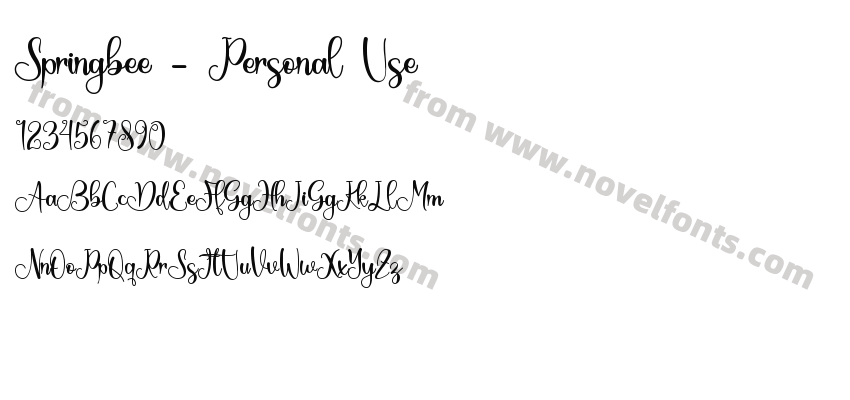 Springbee - Personal UsePreview