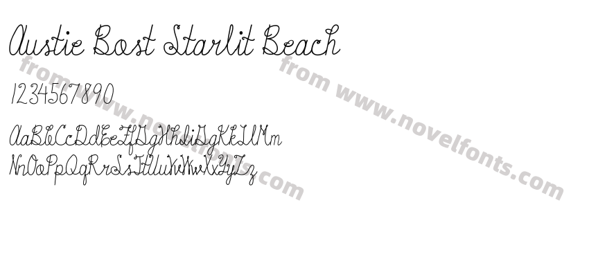 Austie Bost Starlit BeachPreview