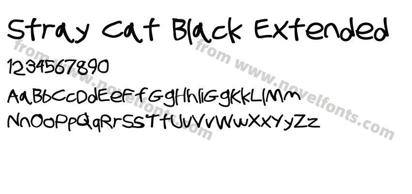 Stray Cat Black ExtendedPreview