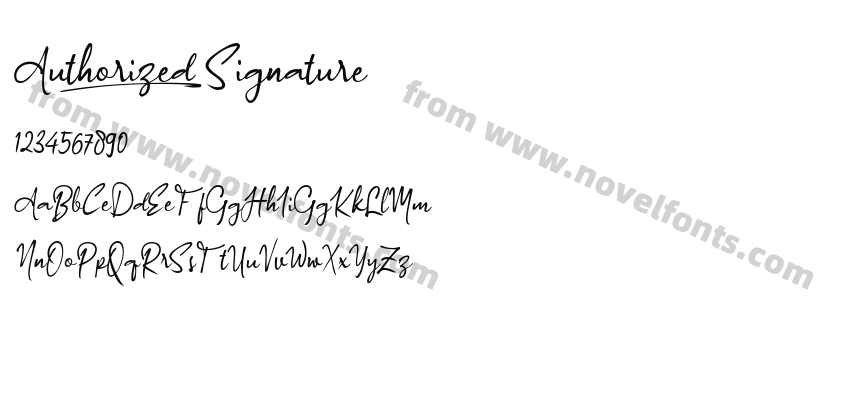 Authorized_SignaturePreview