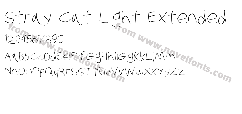 Stray Cat Light ExtendedPreview