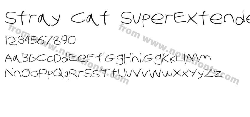 Stray Cat SuperExtendedPreview