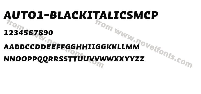 Auto1-BlackItalicSmCpPreview