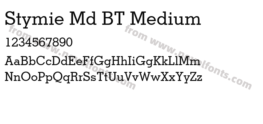 Stymie Md BT MediumPreview