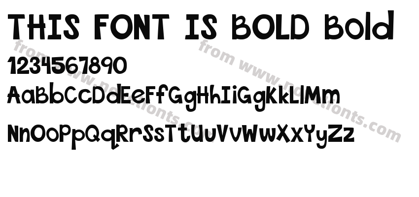 THIS FONT IS BOLD BoldPreview