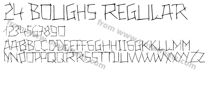 24 boughs RegularPreview