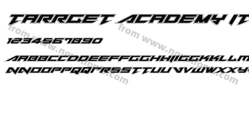 Tarrget Academy ItalicPreview