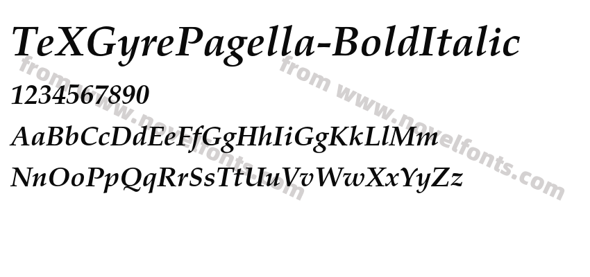 TeX Gyre Pagella Bold ItalicPreview