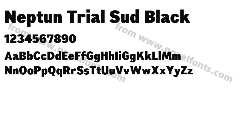 Neptun Trial Sud BlackPreview