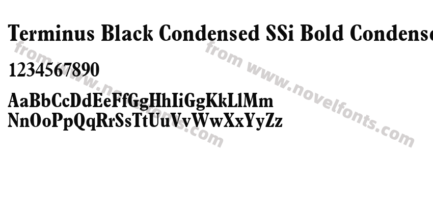 Terminus Black Condensed SSi Bold CondensedPreview