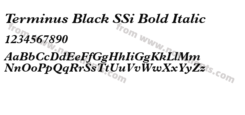 Terminus Black SSi Bold ItalicPreview