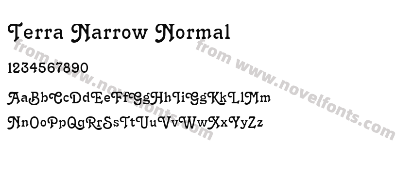 Terra Narrow NormalPreview