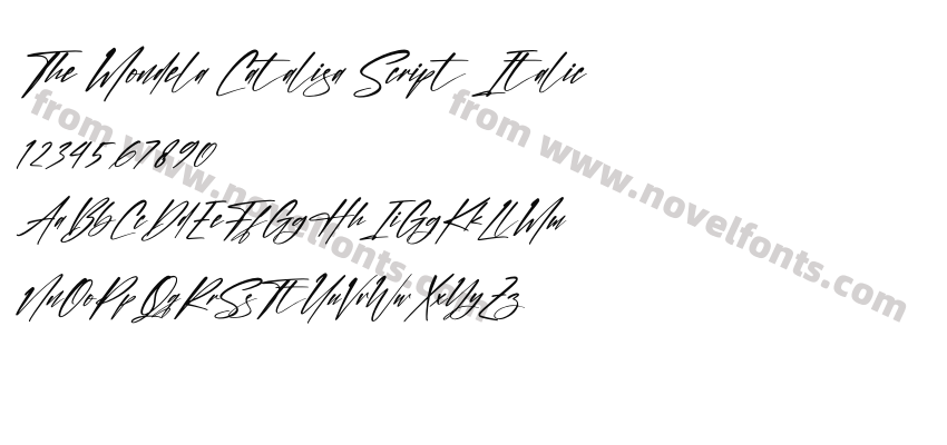 The Mondela Catalisa Script ItalicPreview