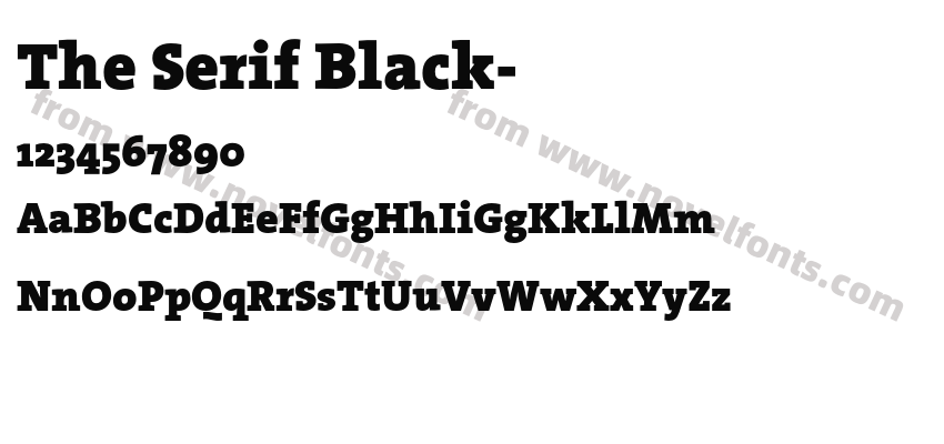 The Serif Black-Preview