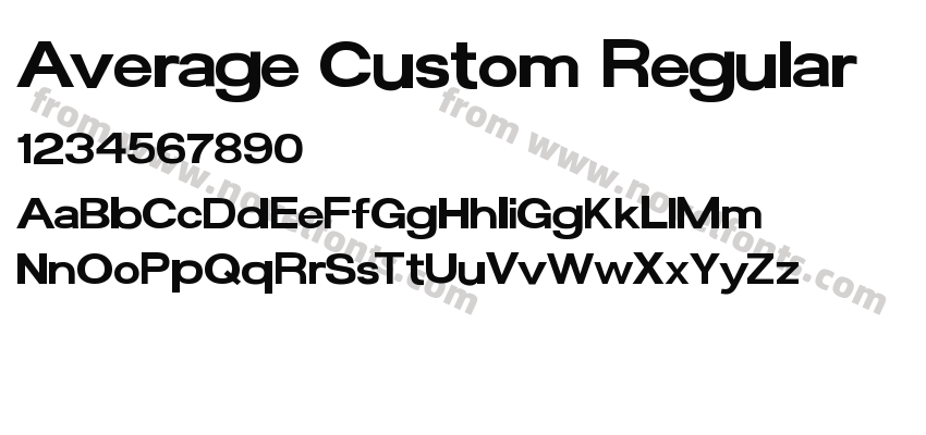 Average Custom RegularPreview