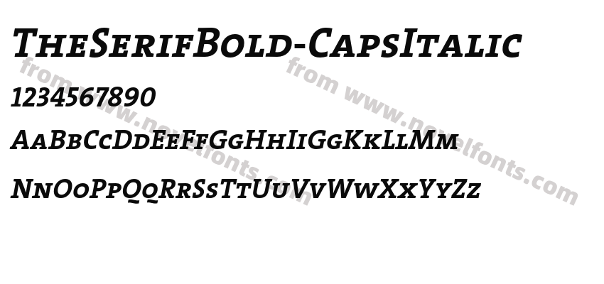 The Serif Bold Caps ItalicPreview