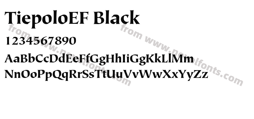 TiepoloEF BlackPreview