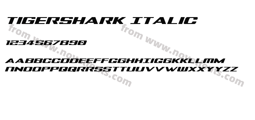 Tigershark ItalicPreview