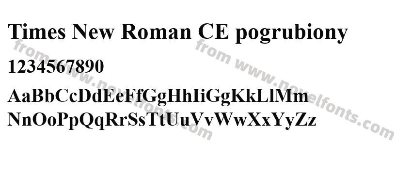 Times New Roman CE pogrubionyPreview