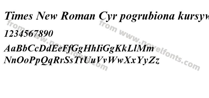 Times New Roman Cyr pogrubiona kursywaPreview