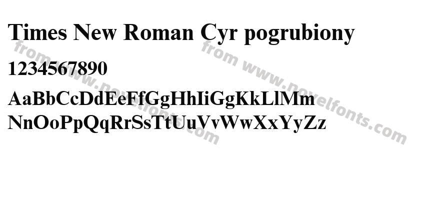 Times New Roman Cyr pogrubionyPreview