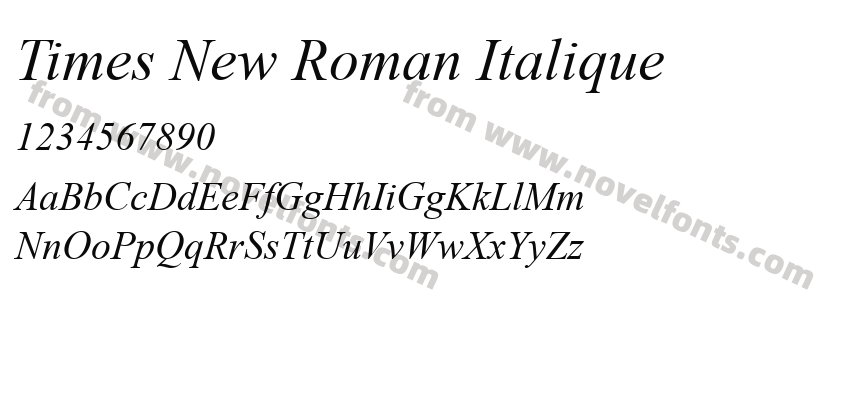 Times New Roman ItaliquePreview