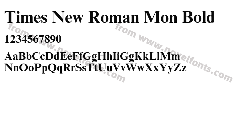 Times New Roman Mon BoldPreview