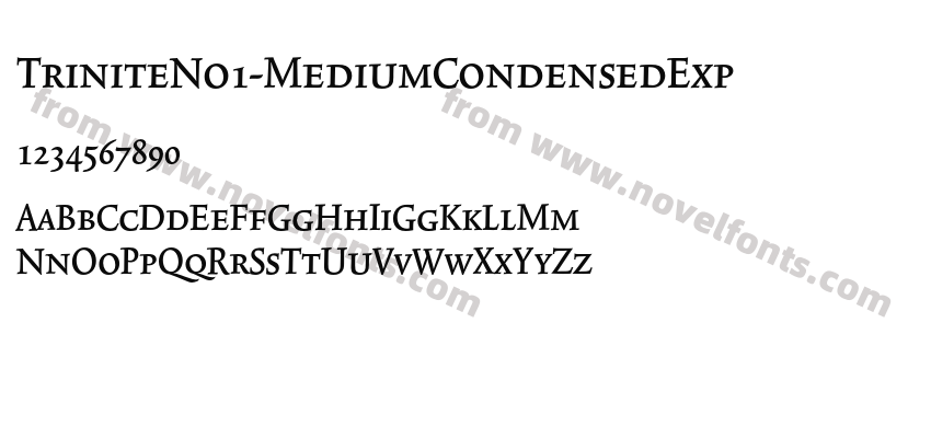 TriniteNo1-MediumCondensedExpPreview