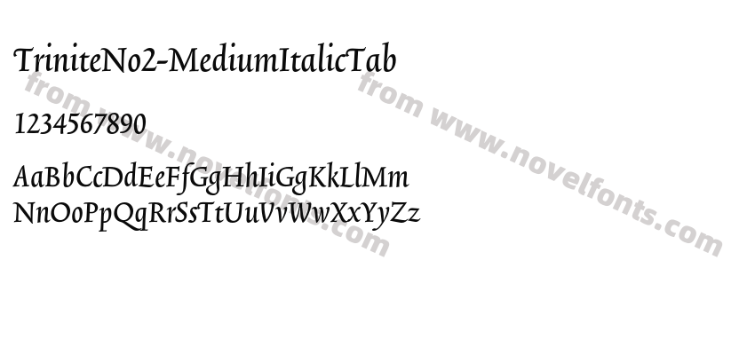 TriniteNo2-MediumItalicTabPreview