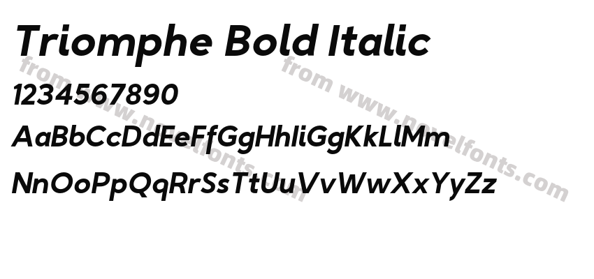 Triomphe Bold ItalicPreview