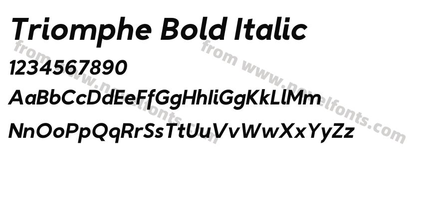 Triomphe Bold ItalicPreview