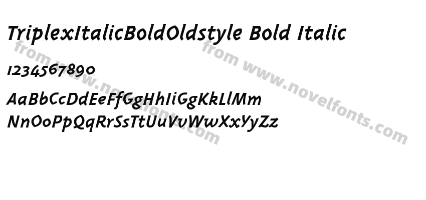 Triplex Italic Bold Oldstyle Bold ItalicPreview