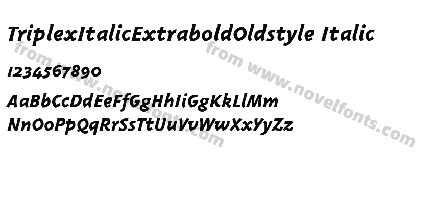 Triplex Italic Extrabold Oldstyle ItalicPreview