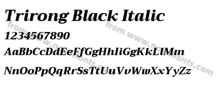 Trirong Black ItalicPreview