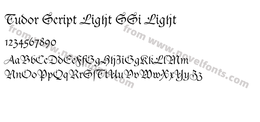 Tudor Script Light SSi LightPreview