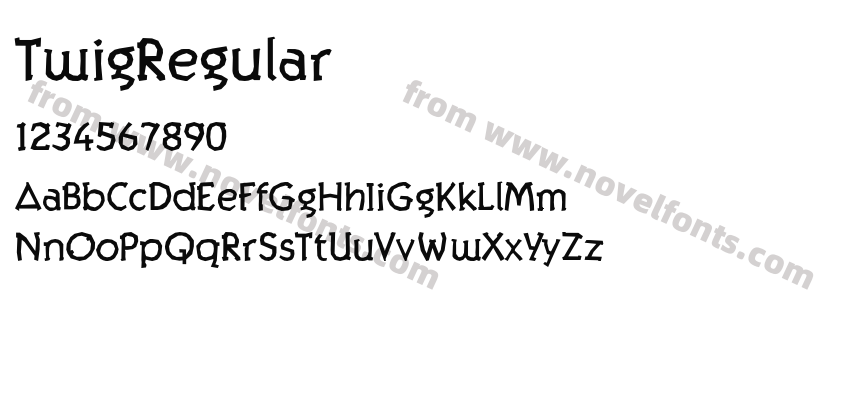 TwigRegularPreview