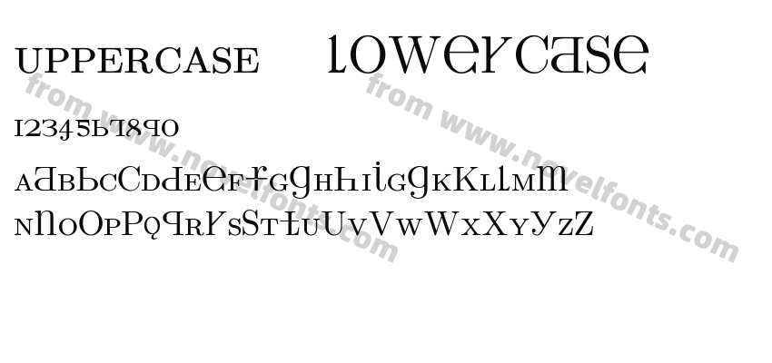 UPPERCASE & lowercasePreview