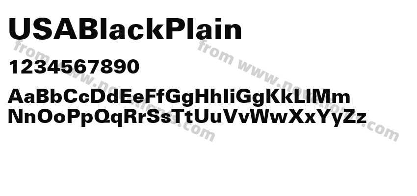 USABlackPlainPreview