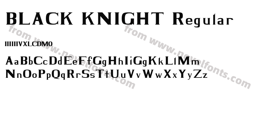 BLACK KNIGHT RegularPreview