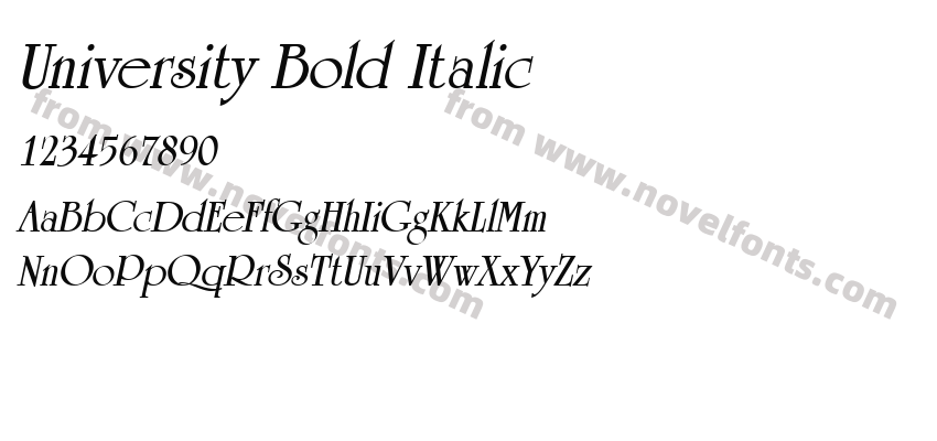 University Bold ItalicPreview